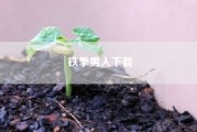 铁拳男人下载、谁能分享《铁拳男人》2005年播出,由朗·霍华德执导,罗素·克劳等主演的电影高清百度云资源? 铁拳男人下载、谁能分享《铁拳男人》2005年播出,由朗·霍华德执导,罗素·克劳等主演的电影高清百度云资源?