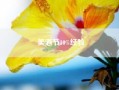 美酒节10%经验-部落美酒节在哪接任务啊？奥格门口哪