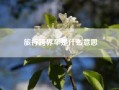 旅行跨界车是什么意思?suv跨界车是什么意思?