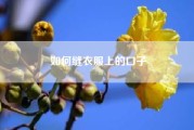 如何缝衣服上的口子_如何缝衣服？