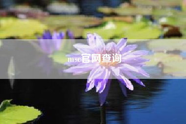 msc凯发体育百家乐官网查询，msc地中海航运有没有中国凯发体育百家乐官网？